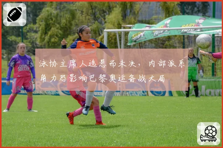 泳协主席人选悬而未决，内部派系角力恐影响巴黎奥运备战大局
