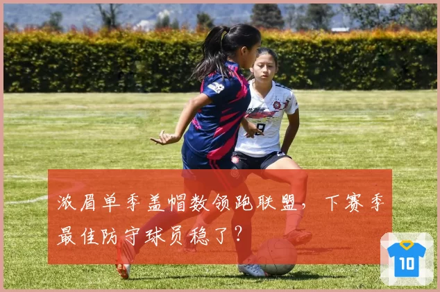 浓眉单季盖帽数领跑联盟，下赛季最佳防守球员稳了？
